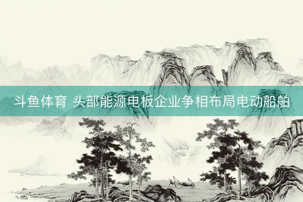 斗鱼体育 头部能源电板企业争相布局电动船舶