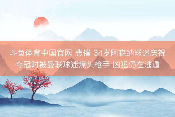 斗鱼体育中国官网 悲催 34岁阿森纳球迷庆祝夺冠时被曼联球迷爆头枪手 凶犯仍在逃遁