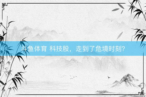斗鱼体育 科技股，走到了危境时刻？
