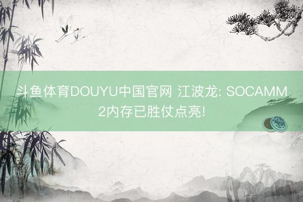 斗鱼体育DOUYU中国官网 江波龙: SOCAMM2内存已胜仗点亮!