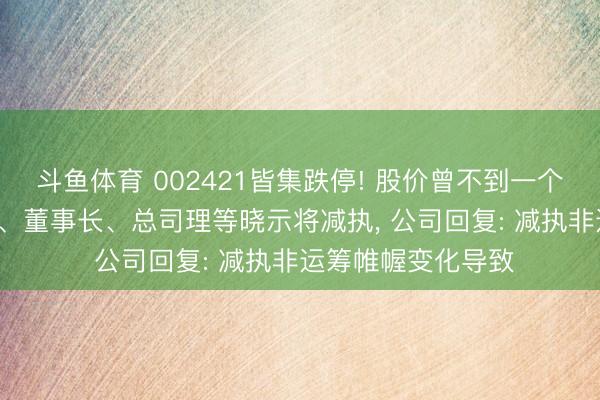 斗鱼体育 002421皆集跌停! 股价曾不到一个月翻倍， 控股股东、董事长、总司理等晓示将减执， 公司回复: 减执非运筹帷幄变化导致