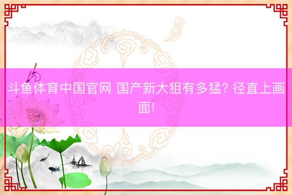 斗鱼体育中国官网 国产新大狙有多猛? 径直上画面!