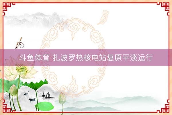 斗鱼体育 扎波罗热核电站复原平淡运行
