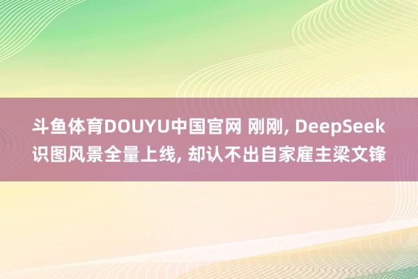 斗鱼体育DOUYU中国官网 刚刚, DeepSeek识图风景全量上线, 却认不出自家雇主梁文锋